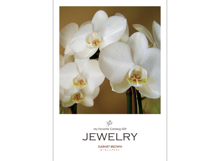 カタログギフト JEWELRY ガーネットブラウン 引出物 お中元 お歳暮 法事