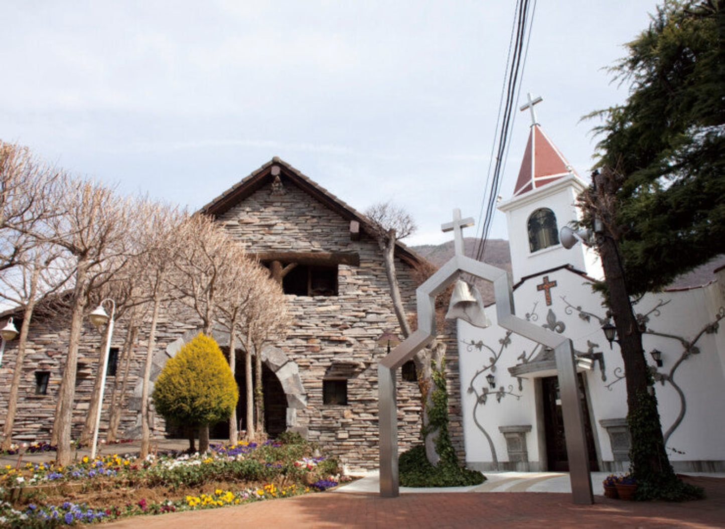 白ワイン 山梨県産 日本一早いヌーヌーボー 720ml リンゴ酸 2020年 新酒