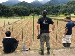 スーパーフード 国産キヌア ポップ 100g  ダイエット 美容 健康 食物繊維