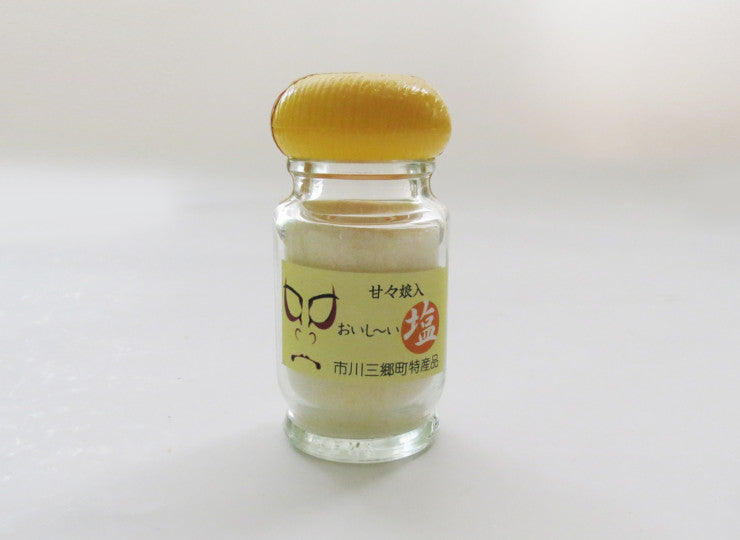 選べる塩 65g 4本セット しお 調味料 人参 人参の葉 トウモロコシ しょうが バジル ピーツ ワイン トマト 竹炭